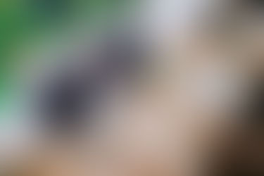 Essential Factors to Consider When Planning Your New Business Website