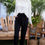 Thumbnail: Ruffle High Waist Belt Side Pocket Front Zipper Solid Pants