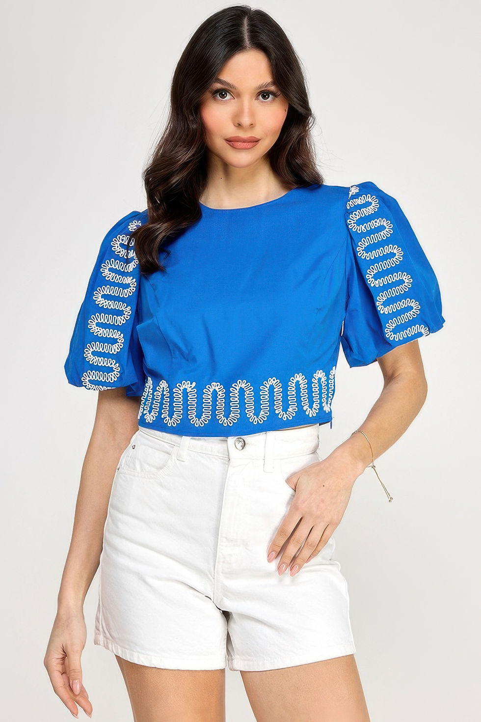 Puff Bubble Sleeve Top With Embroidery Detail
