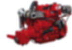 Bukh DV-48 marine diesel