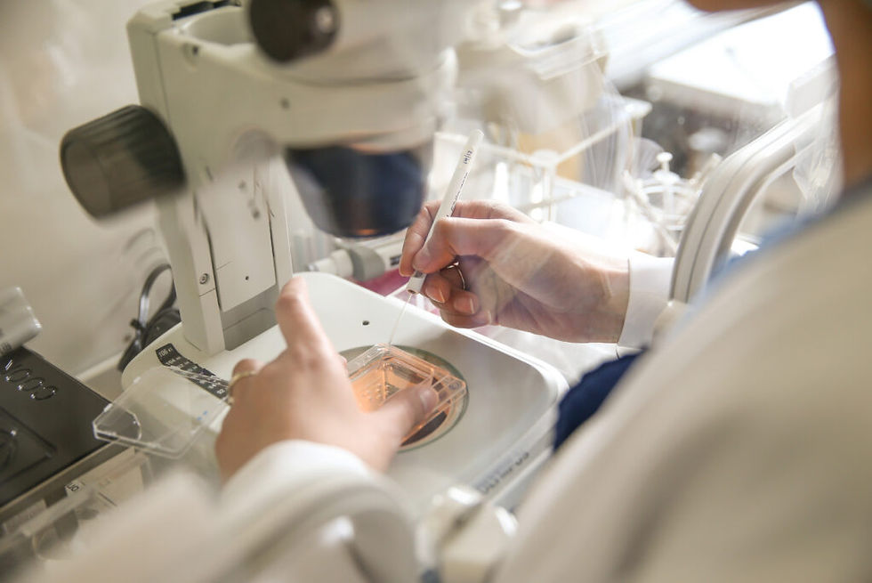 IVF scientist works under microscope.