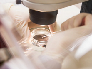 Understanding Surrogacy Key Differences & Terms: Gestational vs. Traditional Surrogacy