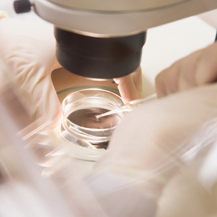 Understanding Surrogacy Key Differences & Terms: Gestational vs. Traditional Surrogacy