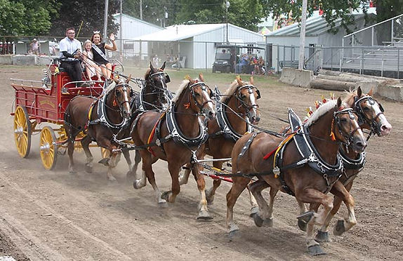Draft 6 Horse with Queen.jpg