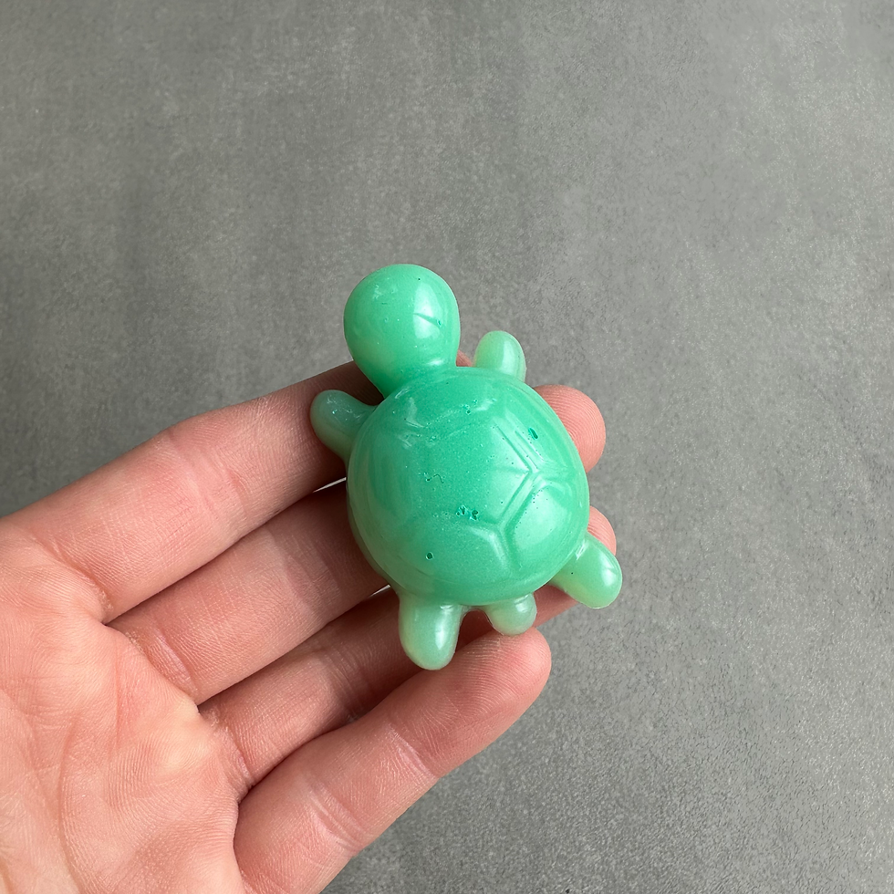 Miniature : Mini tortues 