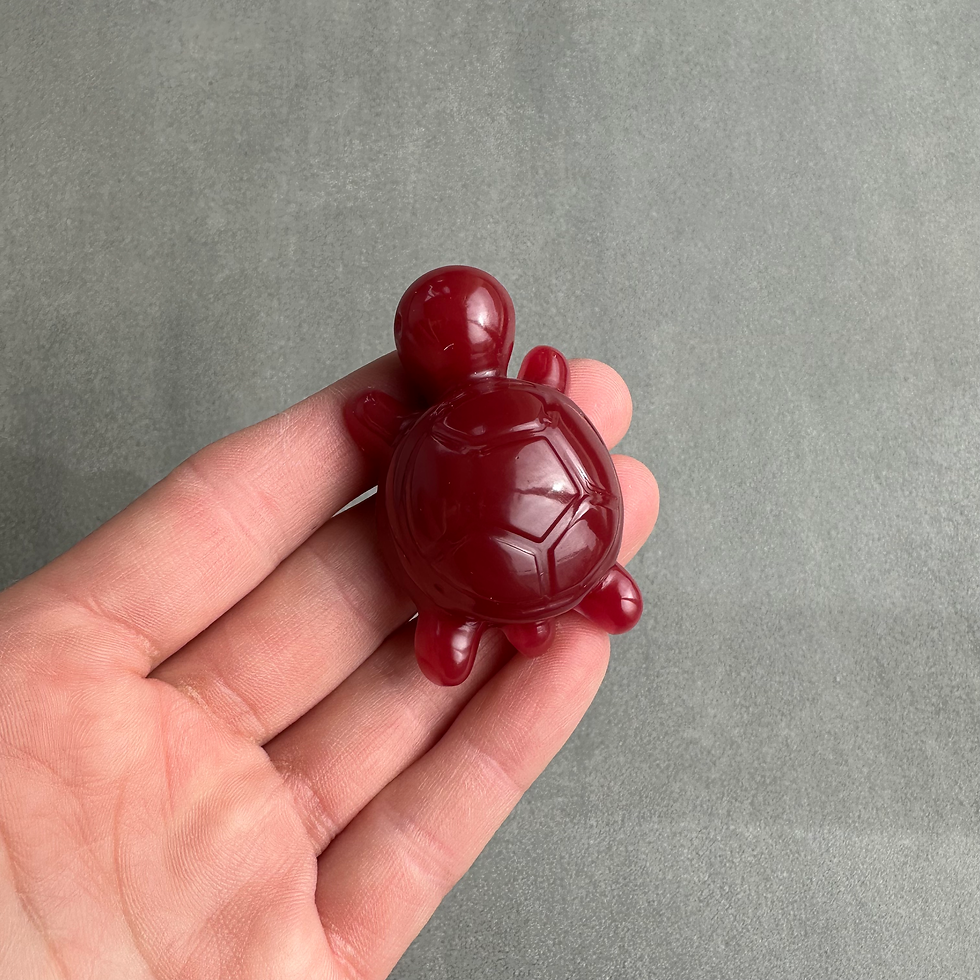 Miniature : Mini tortues 