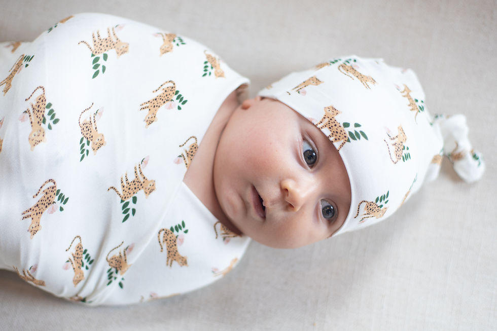 Thumbnail: Swaddled baby