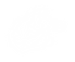 Mustang Logo