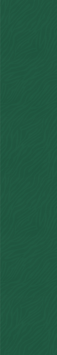 Background2.png