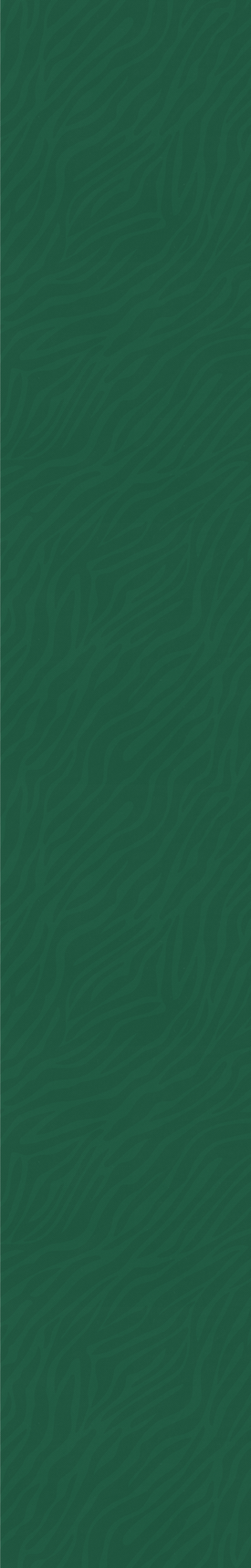 Background2.png