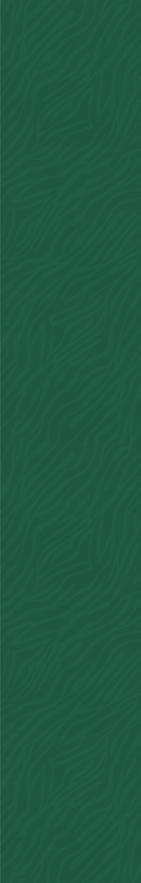 Background2.png