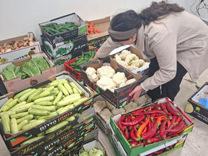 Home Away from Home: Building Community at Hillel Jerusalem