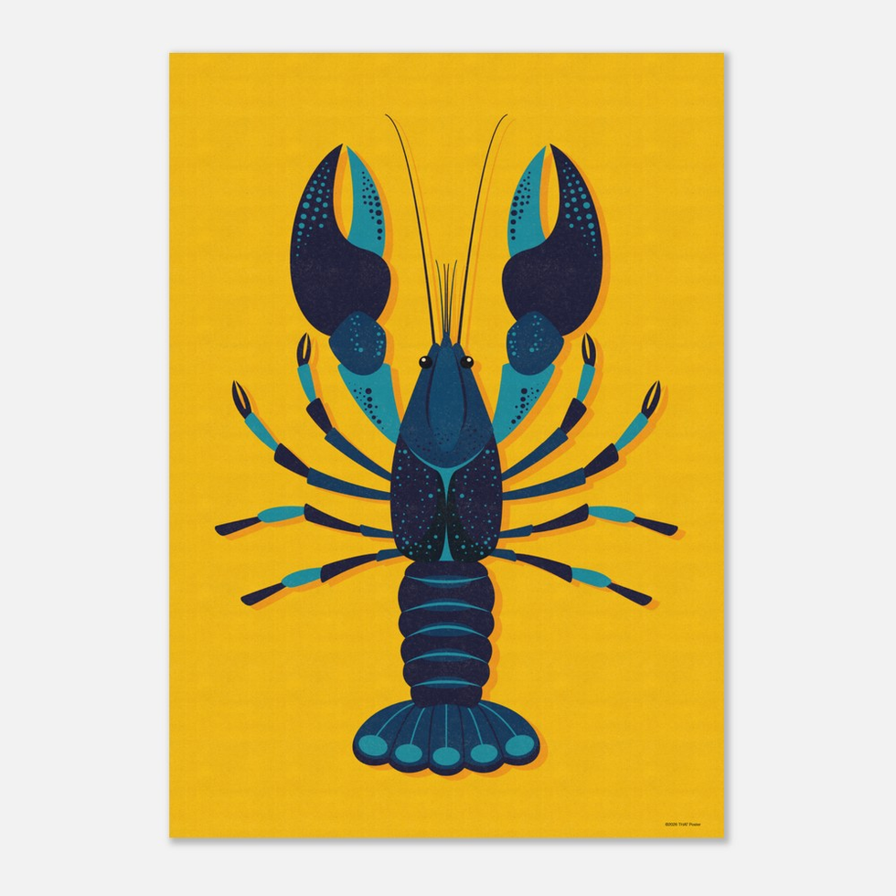 Vibrant Blue Lobster Marine Life Art Print - Premium Matte Paper Poster
