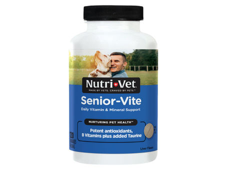 Boosting Your Dog's Immunity: Effective Supplement Strategies