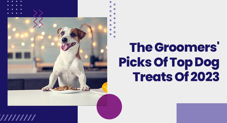The Groomers' Picks Of Top Dog Treats Of 2023