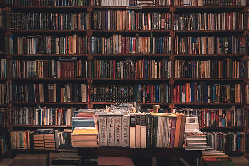 stanislav-kondratiev-6pO3QFkk7hQ-unsplash.jpg