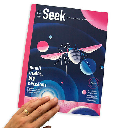 SeekMag-white2.jpeg