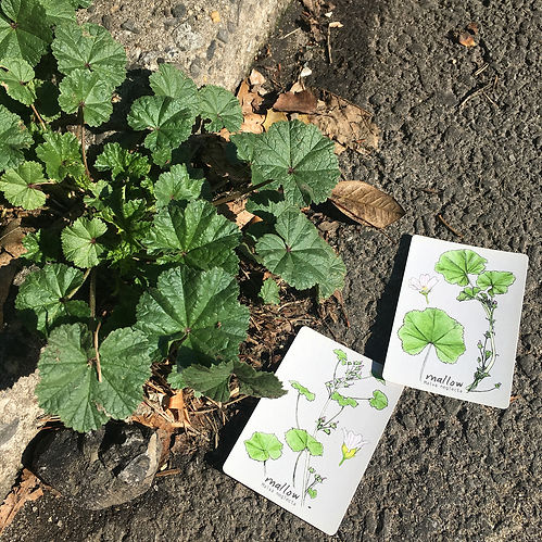 WeedyPlant-MemoryGame-s.jpg