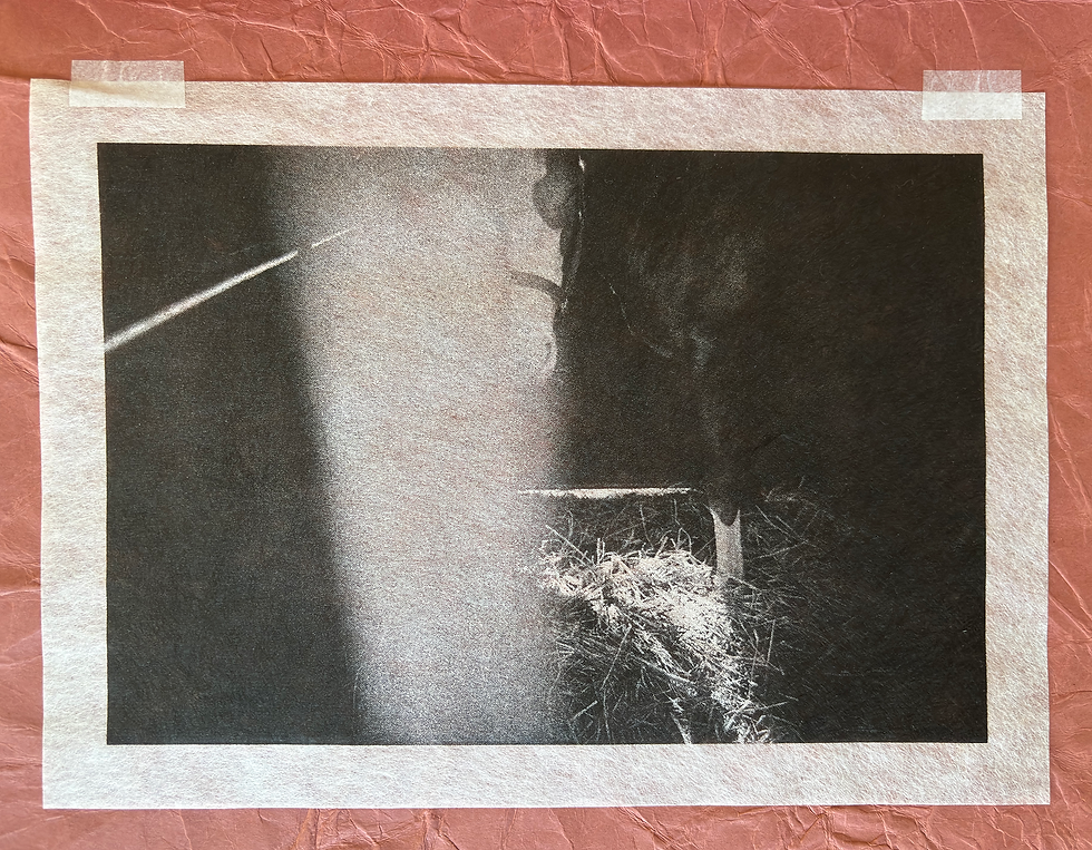 Thumbnail: Track prints