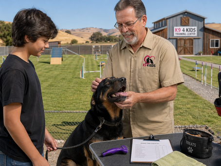 Youth participant receiving supervised vocational training with animals at a K9 4 KIDS facility in San Martin, learning safe big dog handling, grooming readiness, and rescue dog care skills for future careers with animals.