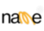 Prancheta 1 cópia.webp