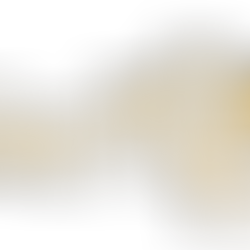 Introducing "Ever After" Wedding Animation