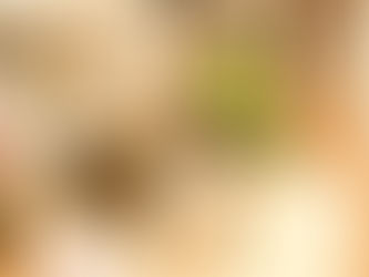 When Do Children Need a 4 Plus Tutor?