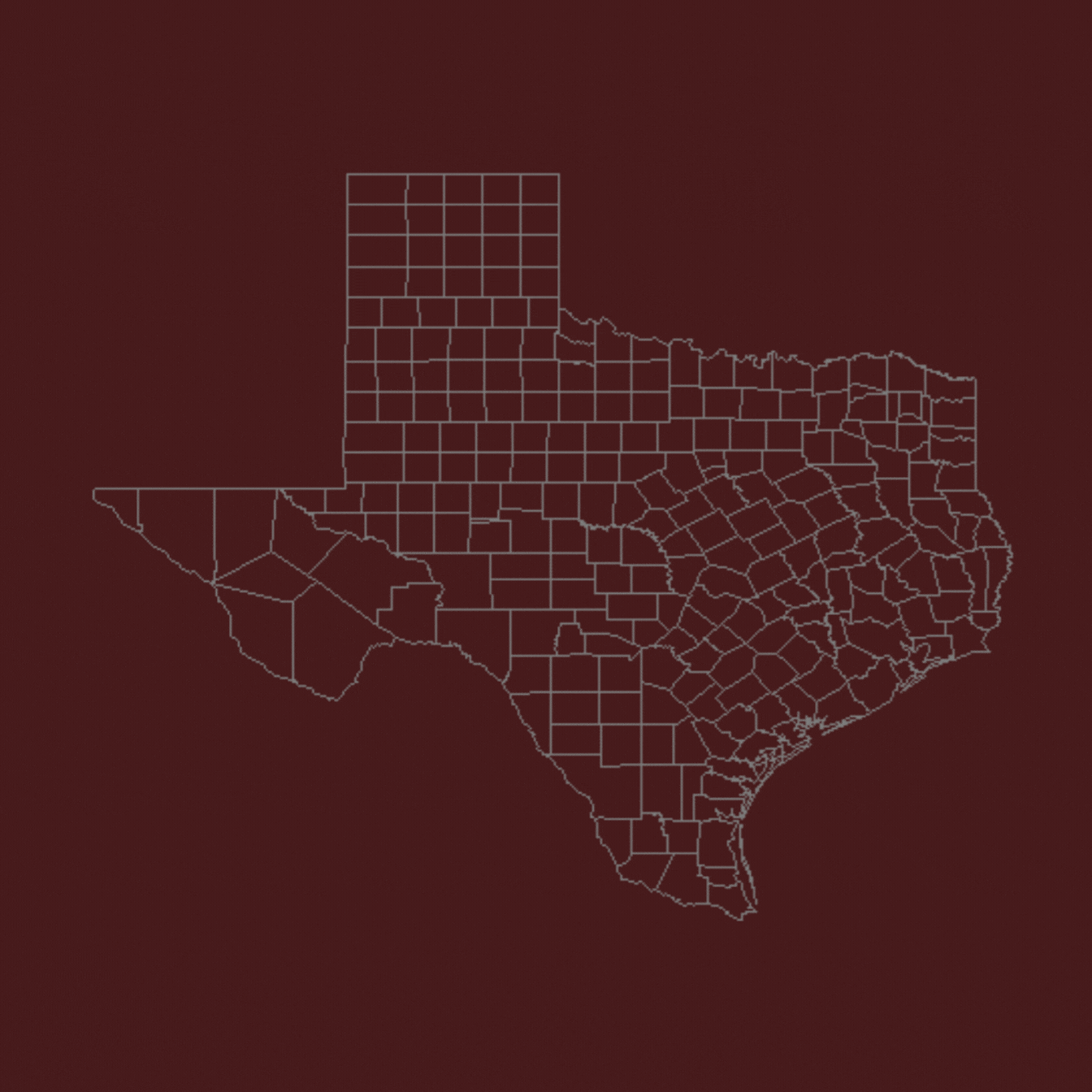 picture of the state of texas with all the lights in the southern counties glowing