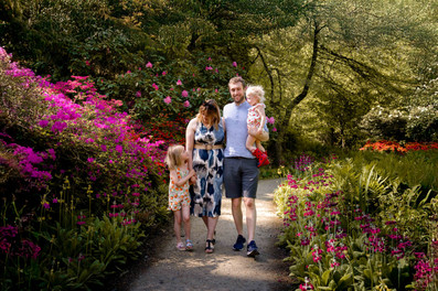 family photographer surrey