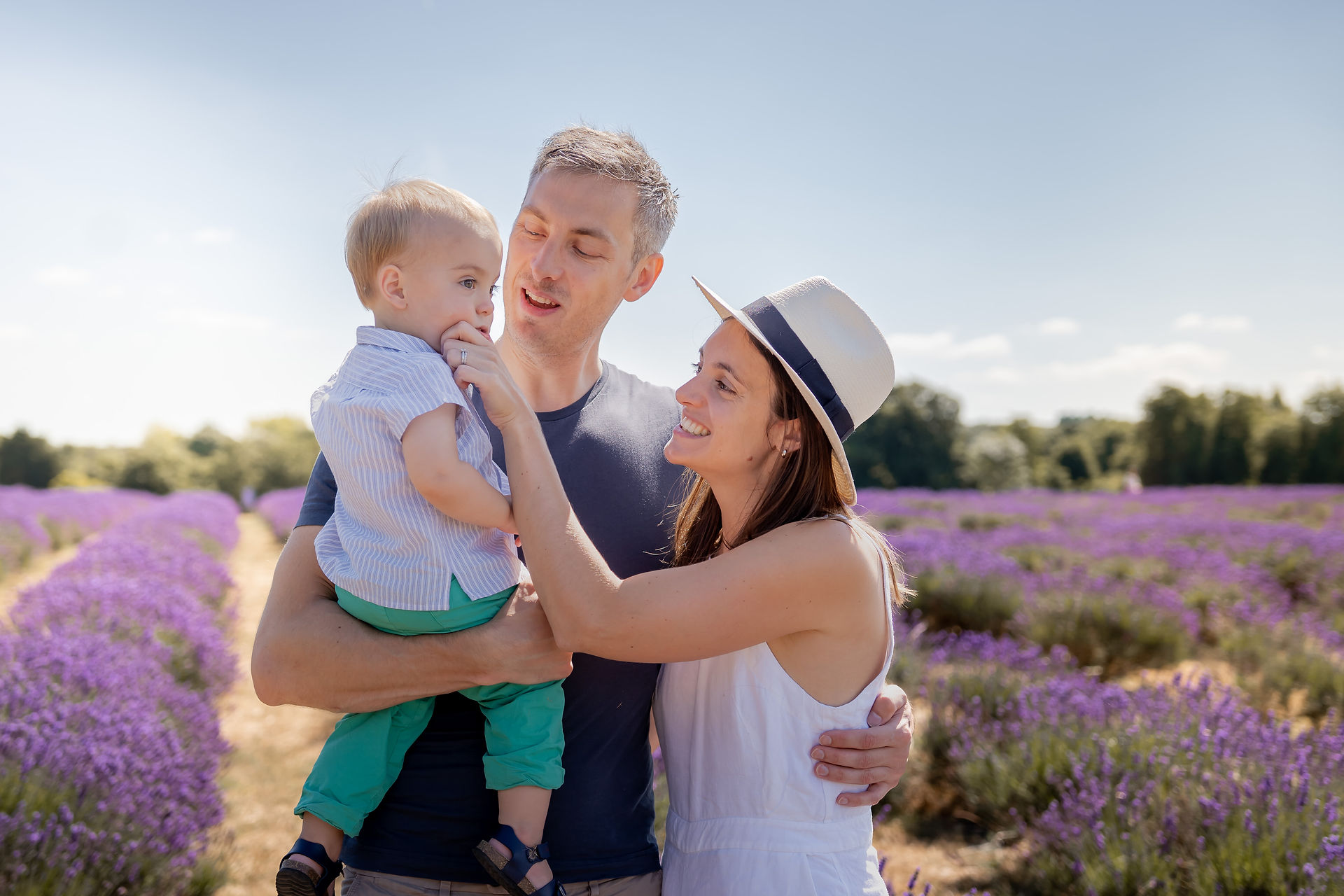 lavender fields photography surrey