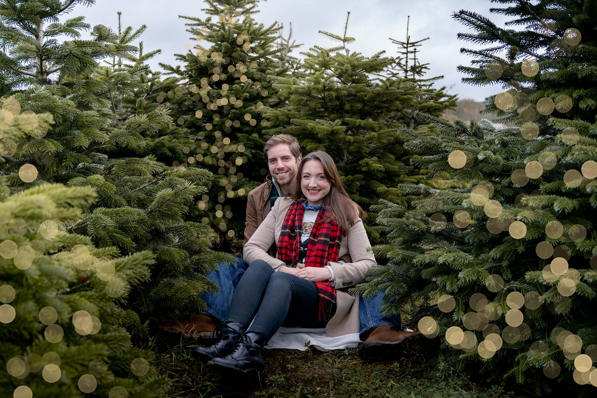 christmas tree farm photoshoots surrey sussex kent