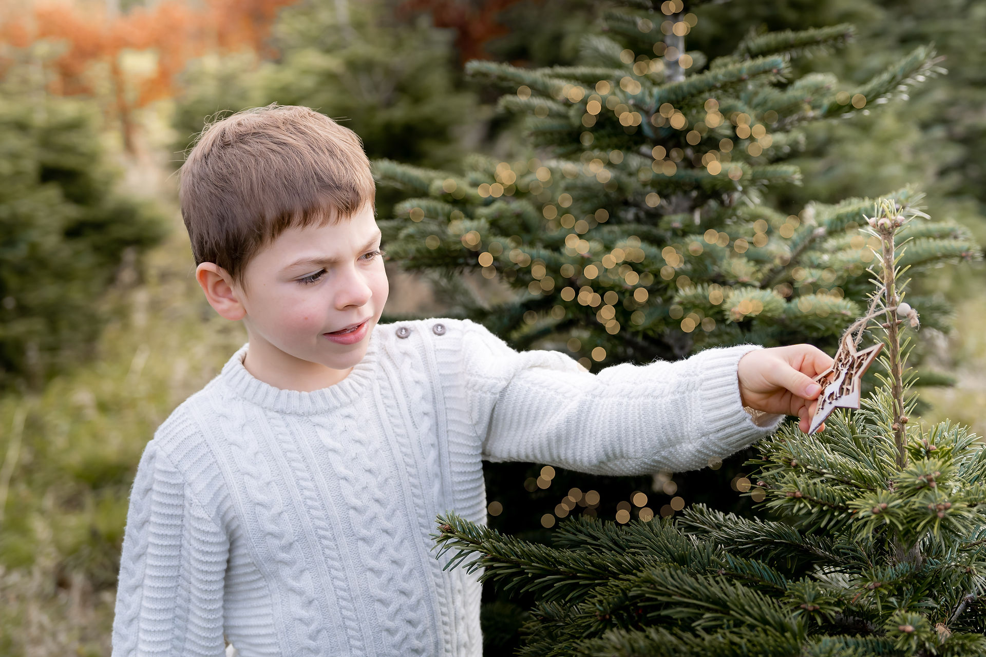 Christmas mini session