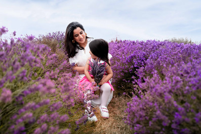 lavender fields photoshoot