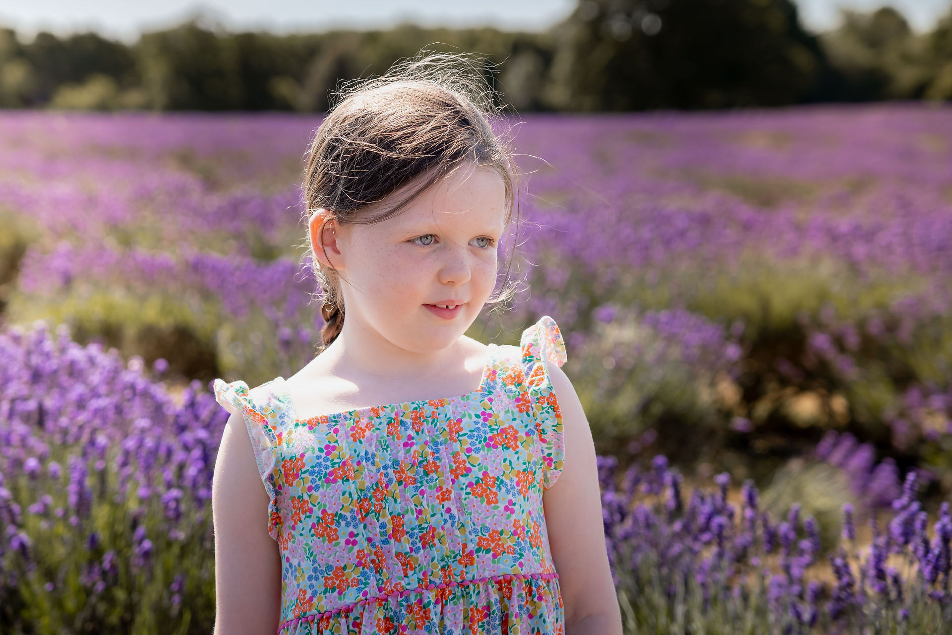 photoshoot at mayfield lavender farm