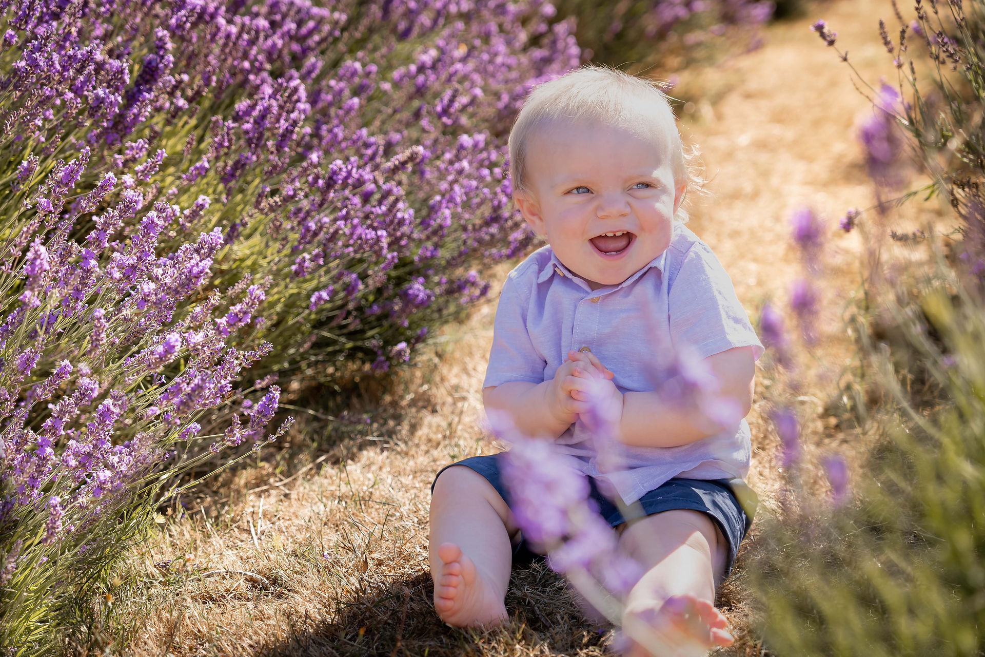 lavender photoshoot surrey