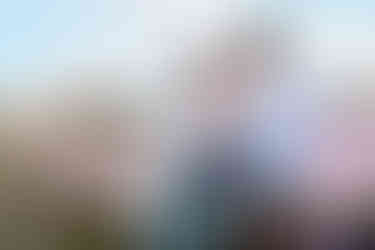 lavender fields photoshoot