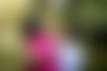 family photographer sussex