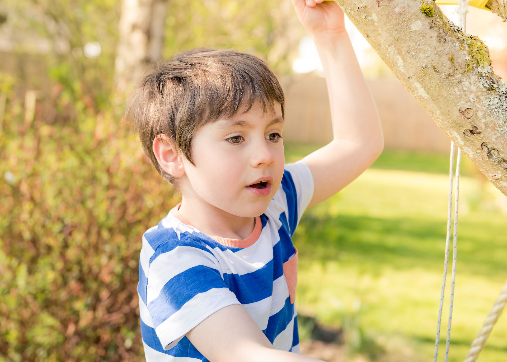 tunbridge wells photographer