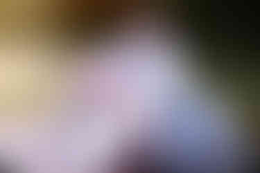 newborn photographer surrey