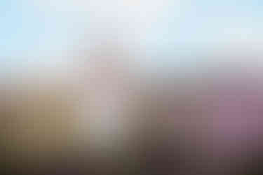 lavender fields photoshoot surrey