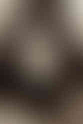 Christmas photography tips