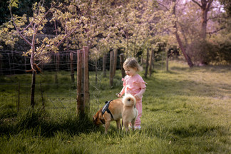 sevenoaks family photographer