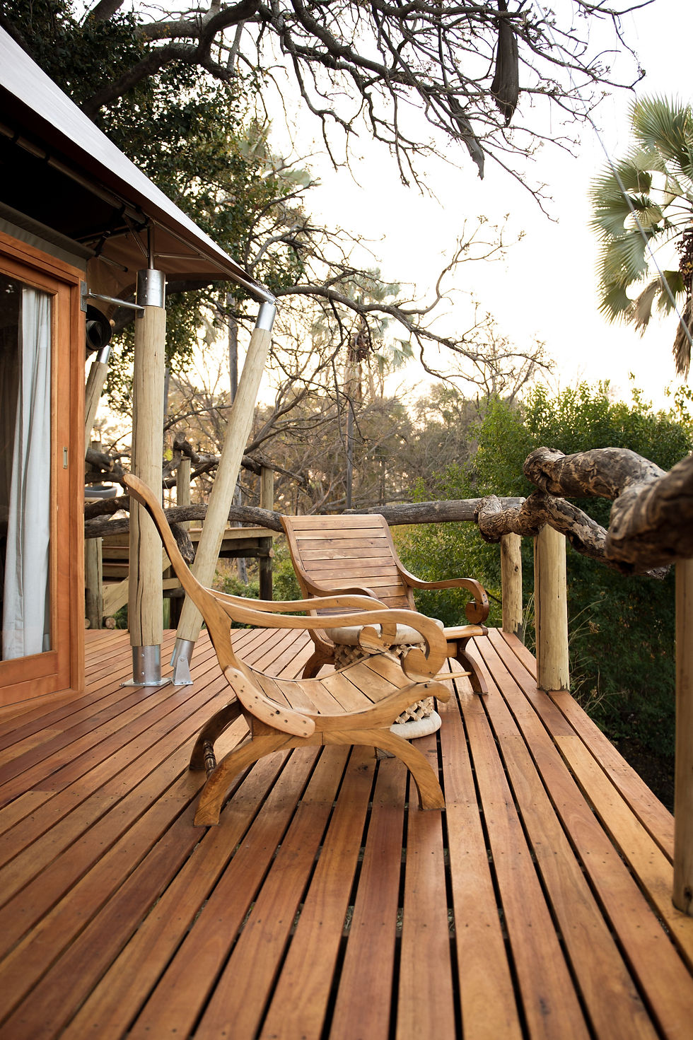 pexels-lelani-badenhorst-26647525-6790675.jpg