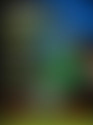 ONE MOTO SHOW SEXIEST BIKE AWARD