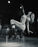 DEVILS POINT WEEKLY DANCER SCHEDULE • TUE, OCT 6TH - MON, OCT 12TH • 2026