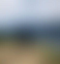 DEVILS POINT WEEKLY DANCER SCHEDULE • TUE, JAN 20TH - MON, JAN 26TH • 2026