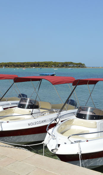 Noleggio barche porto cesareo senza patente