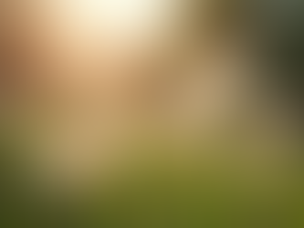 Exploring Creative Ideas for Personal Growth