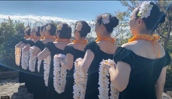 Kumu 20th Hoike