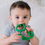 Thumbnail: Dinosaur Chew Crew Teether